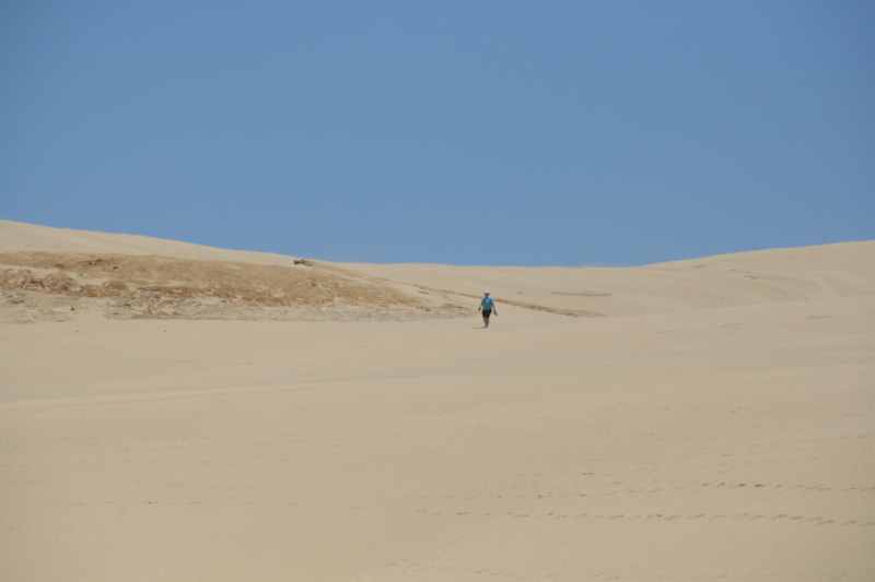 Nieuw-Zeeland 2011 - 0369